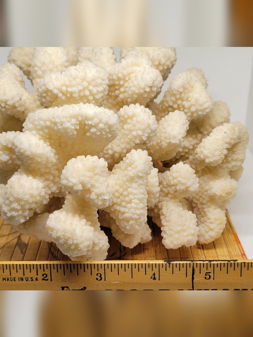 Vintage Natural White Ocean Coral Specimen Large - Picture 8 of 9